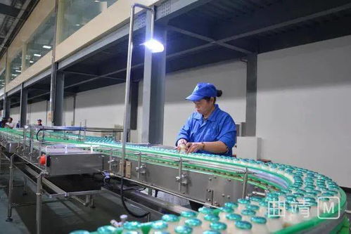 陸良現(xiàn)代化廠區(qū)投資2.8億，企業(yè)管理服務助力試生產(chǎn)階段高效運行