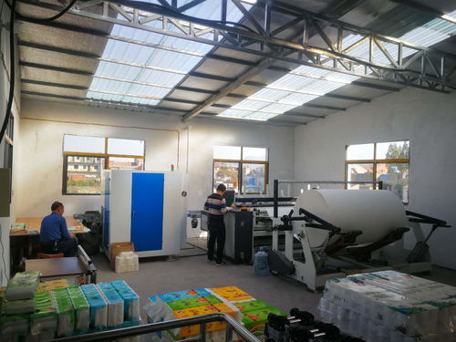 農(nóng)村小型衛(wèi)生紙加工廠投資規(guī)劃與企業(yè)服務指南