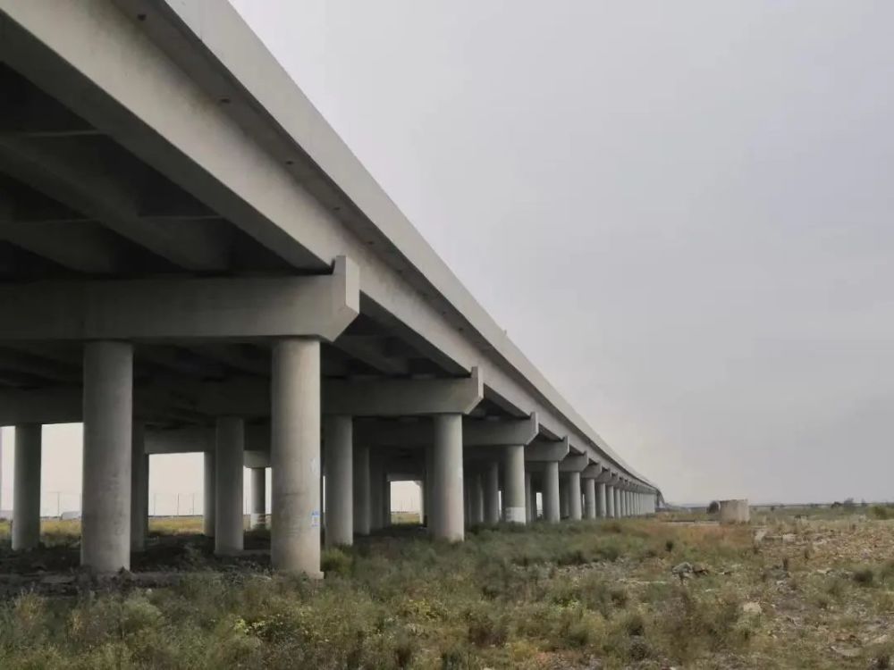 點(diǎn)贊！浙江省科學(xué)技術(shù)進(jìn)步獎(jiǎng)二等獎(jiǎng)花落公路工程建筑領(lǐng)域